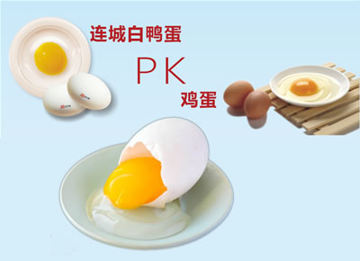 連城白鴨蛋PK雞蛋